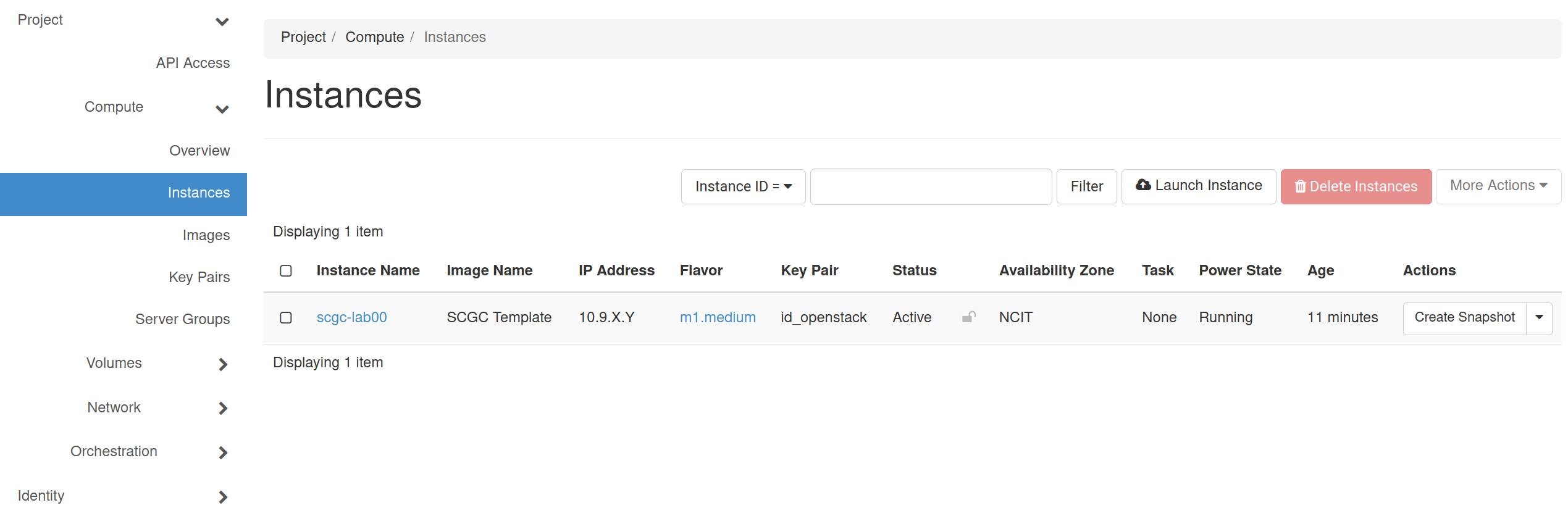 OpenStack VM Instance
